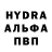 Альфа ПВП Соль Choc _Shel