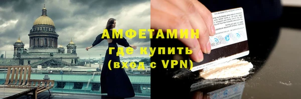 индика Алексин