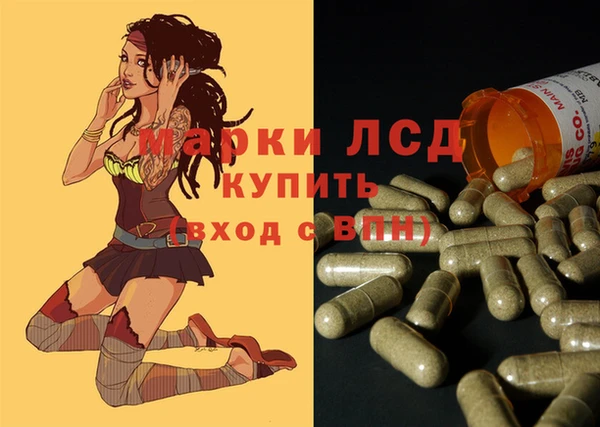 индика Алексин