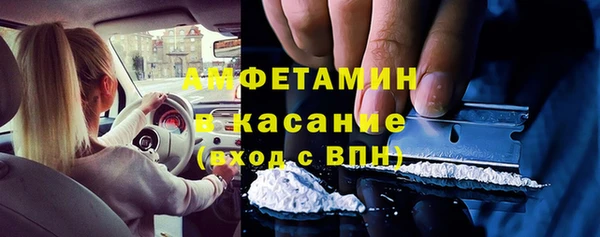 индика Алексин