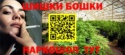 стаф Дубна